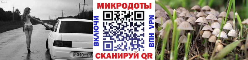 Купить где  Курганинск  Галлюциногенные грибы прущие грибы 