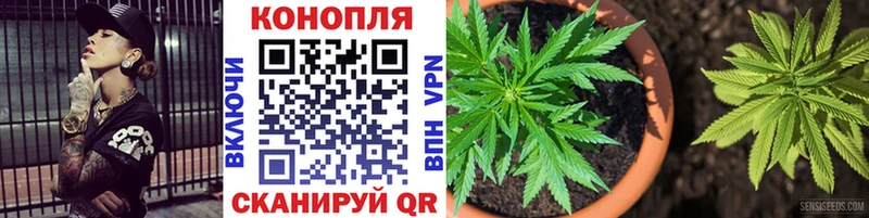 Канабис SATIVA & INDICA  Купить где  Курганинск 